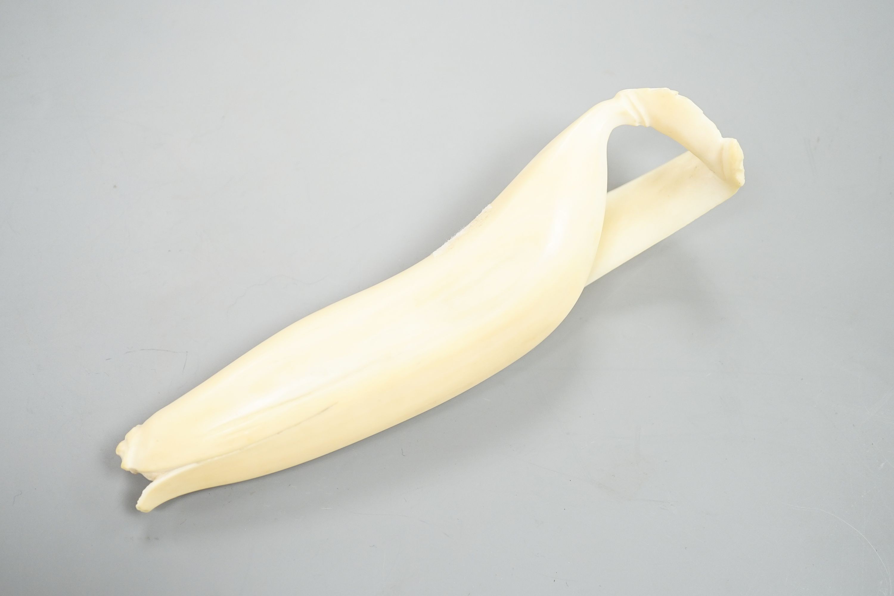 A Japanese carved ivory model of a partially peeled banana c.1900, 16cm